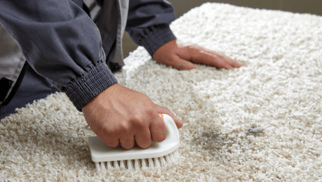Professional Rug Cleaning Murrumbeena